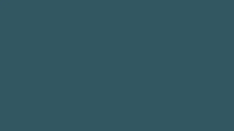 solid-color-image.jpeg